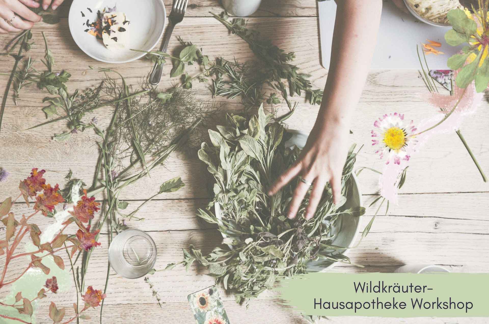 Wildkräuter Hausapotheke DIY